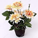 Germinación De Alimentos Usa Semillas De Melón Híbrido Tasty Bites Paquete Con 100 Semillas