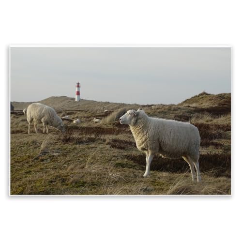 Sheep Grassland Hills Distant, 10 x 15 Inch Mounted Print on Wall Plaque