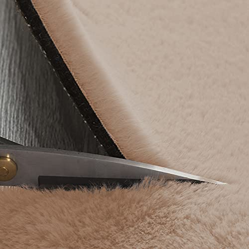 Rainlin Ultra Soft Fluffy Faux Fur Sheepskin Area Rug Modern 2X6 Living Room Fur Runner Rugs Shaggy Beside Rugs Warm Faux Fur Couch Cover For Sofa And Bay Window, Beige #TOP6