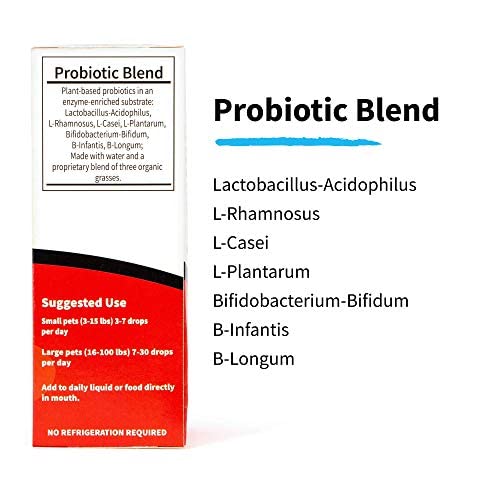 Liviaone Biolifepet Liquid Probiotics For Dogs, Organic Dog Probiotic Supplements, Puppy And Dog Pet Probiotics, 4 Fl Oz (Pack Of 1) #TOP2