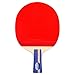 Lerten Racchette da Ping Pong,Racchetta da Ping Pong Professionale a 5 Stelle Impugnatura Antiscivolo per Allenatori Principianti Dilettanti/A/breve manico