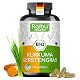 Gerstengras-Kapseln mit Kurkuma – Hochdosierte BIO-Kapseln