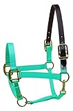 Perri's Leather Horse Nylon Safety Halter, Turquoise