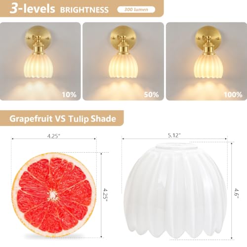 Image of Vintage Battery Operated Wall Sconce, White Tulip Glass Lampshade Wireless Rechargeable Battery Powered LED Wall Light with Remote Dimmable for Bedside Bedroom Doorway Living Room, Set of 2