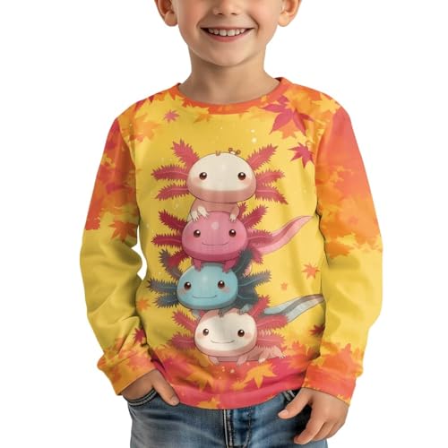 Image of WELLFLYHOM Long Sleeve T-Shirt for Boys Girls 3-16 Years Old Tee Tops Crewneck Pullover Shirts Fall Outfits