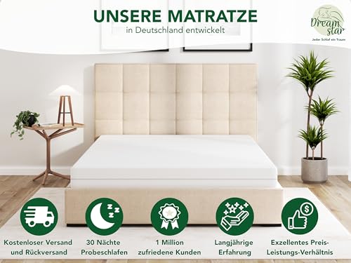 DREAMSTAR Easy Flex 7-Zonen Matratze 90x200 cm | H2&H3 | Ergonomische Kaltschaummatratze |...