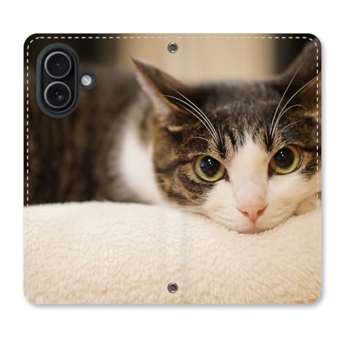 Tiara mode GooglePixel10a�p�̎蒠�^�X�}�z�P�[�X �x���g�Ȃ� �}�O�l�b�g �X�b�L���܂� �J�[�h���[ �X�}�z�J�o�[ �y �˂��ʐ^ �z �L �l�R �˂� ���� �A�j�}�� PU���U�[ B GV0BP