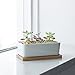 Greenaholics Succulents Planter Pots Set of 2-6.3 Inch Rectangular White Ceramic Flower Plant Pots Indoor Rectangle Pots for Plants with Bamboo Trays and Drainage Hole for Small Succulents Cactus