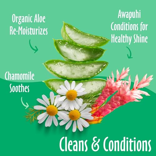 earthbath, Green Tea & Awapuhi Grooming Wipes - Dog Wipes for Paws and Butt, Best Pet Wipes for Dogs & Cats, Made in USA, Cruelty-Free Dog Cleaning Wipes, Removes Dirt & Dander - 100 Count (2 Pack) - Thumbnail 4