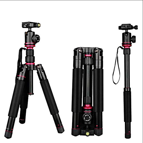 FEANG 59-Zoll-Stativ for Kamera, leichtes Aluminium-Stativmonopod mit 360 Grad Kugelkopf und Tragetasche for Reisen und… – Bild 6