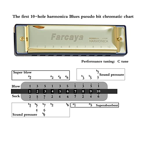 Farcaya Harmonica For Kids Students Beginners Adults Blues Harp Diatonic C Key 10 Holes 20 Tones Metal Mouth Organ With Hard Case And Cleaning Cloth (Gold) #TOP3
