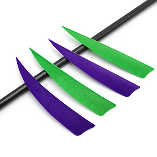 Obert Archery 60Pcs Arrow Feathers 4 Inch Hunting Arrows Fletching Right Wing Green Purple Shield Cut #TOP6