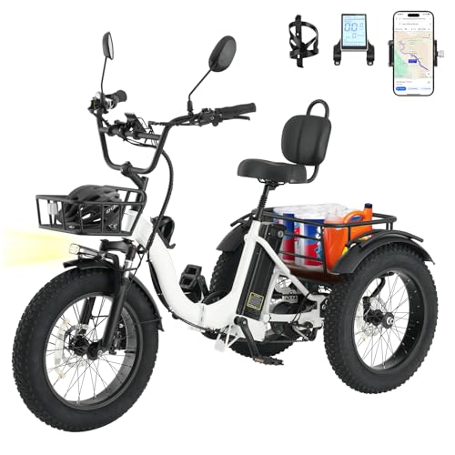Skeri Electric Tricycle for Adults, 750W(Peak...