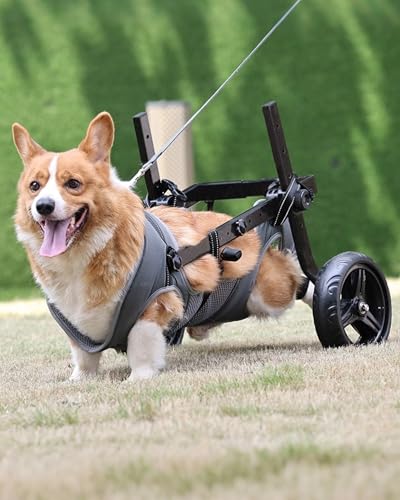 TianfuSpanda Adjustable Medium Dog Wheelchair for Back Legs, Upgraded Wheel, Disabled Pets, Leg Brace, Mobility Aid for Medium Pets, Hind Limb Rehabilitation, Older, Disabled (L(Chest 25.2-30.7in))
