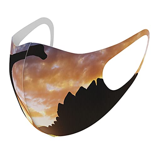 [X}R] fUC }XN QZbg |GXe 􂦂 z}XN XLTCY 傫 jp 013281  VGbg [