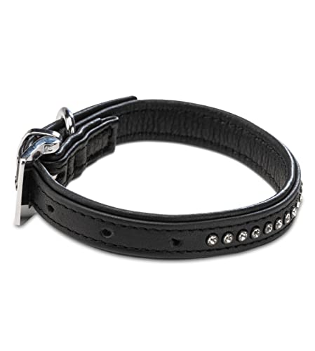 Hundehalsband aus Echt-Leder mit Strasssteinen/Kristall besetzt – funkelndes Hunde und Katzen Halsband aus gepolsterten und doppellagigen Büffelleder - Lederhalsband Audrey (M (24.5-32.5cm), Schwarz)