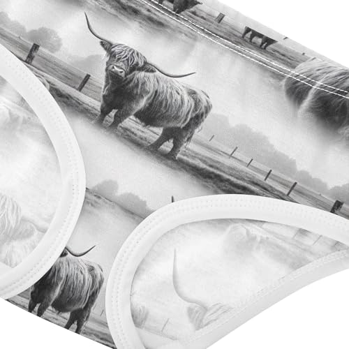 Cotton Girls Underwear Toddler Highland Cows Black White Little Girl Panties Florals Undies Kids Briefs 2t4