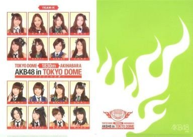 Amazon.co.jp: AKB48 in TOKYO DOME ～1830mの夢～ A4 クリアファイル