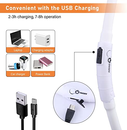 Aicharynic Collare per Cani Luminoso, Confezione