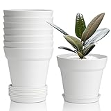 T4U 4 Inch Plant Pots 8-Pack, Small Flower Pots with Drainage Hole and Saucer, Decorative Nursery Pot Bulk for African Violet, Snake Plant, Succulent, Herb and Plants Indoor (8 Pcs 4' Pots, White)