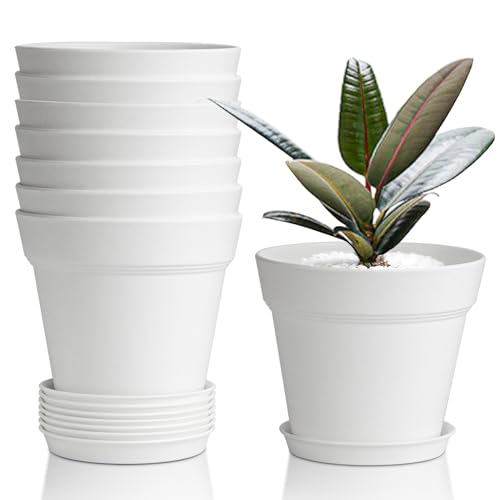 T4U 4 Inch Plant Pots 8-Pack Small Flower Pots with Drainage Hole and Saucer Decorative Nursery Pot Bulk for African Violet Snake Plant Succulent Herb and Plants Indoor (8 Pcs 4 Pots White)