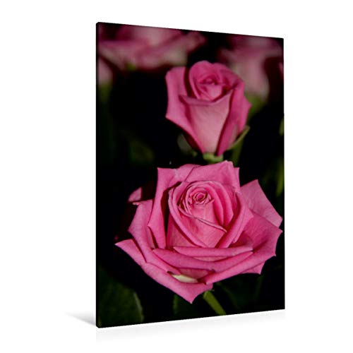 Preisvergleich Produktbild CALVENDO Zauberhafte Rosen