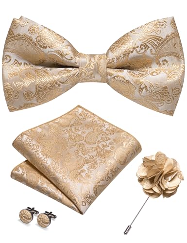 JEMYGINS Herren Paisley Fliegen set inklusive Einstecktuch Manschettenknöpfen und Boutonniere geeignet für Hochzeitsbankette und Partys Champagner...