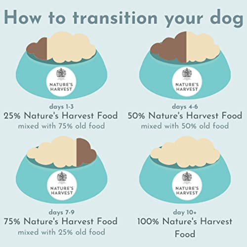 Natures Harvest Complete Hypoallergenic Dog Food â Lachs- und Süßkartoffel-Freefoods©©für wählerische Esser und Hunde mit empfindlichen Mägen | 10x395g | Allergiefreies Hundefutter
