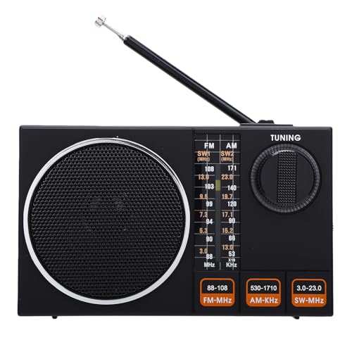 Radio portátil Diyeeni FM AM SW compacto y liviano miniatura 7