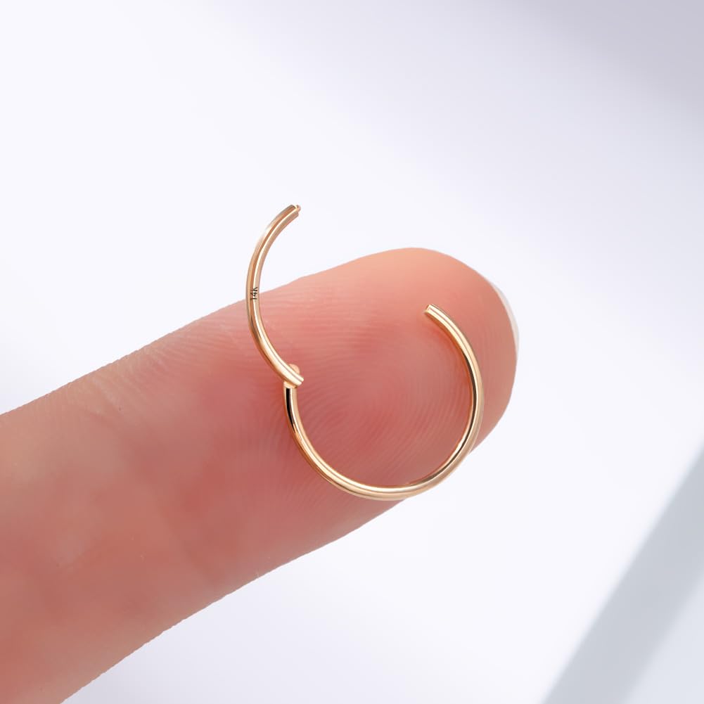 OUFER Body Piercing Nose Ring Hoop 20G Nose Ring Hinged Segment Helix Lip Rings Thin Nose Hoop Piercing Gold Cartilage Daith Rook Tragus Conch Earrings Jewellery