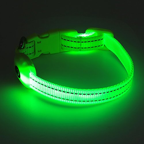 Led Dog Collar, Usb Rechargeable Safety Pet Collar With 2 Reflective Stripe, Adjustable Dog Necklace For Small Dogs And Cats By Vizpet ( Green, Xs) #TOP5