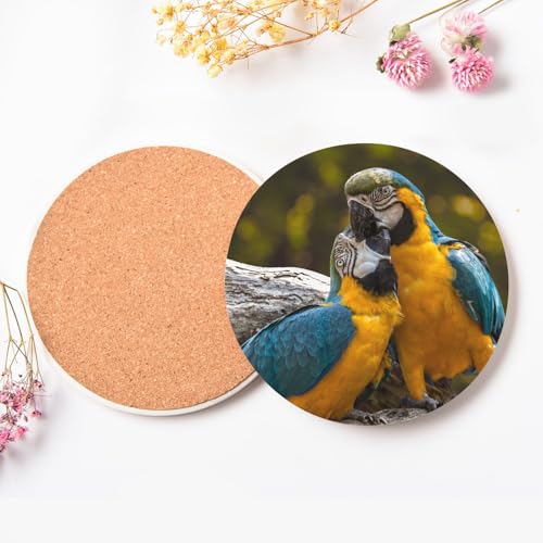 Sous-verre céramique de qualité supérieure oiseaux exotiques et amour - 4