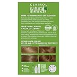 Clairol Natural Instincts Demi-Permanent Hair Dye, 6.5G Lightest Golden Brown Hair Color, Pack of 3 - Image 2