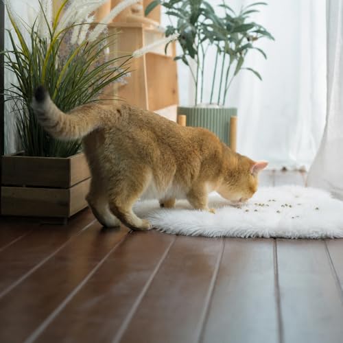 Fluffy Cat Bed Mat 19.6"x31.4" Furry Small Dog Cats Cushions for Indoor | White Faux Fur Fuzzy Puppy Pads for Pet Sleep - Image 3