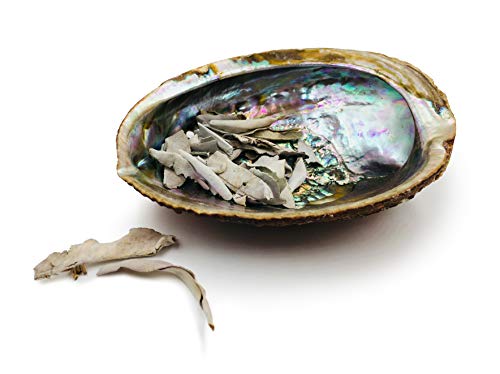 Loose Pieces Of California White Sage & An Abalone Shell Incense Holder (Abalone Shell With Loose Sage) #TOP1