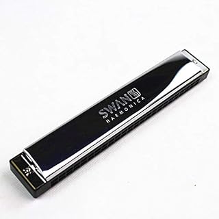 Harmonica Tremolo C clé 24 trous Tremolo Harmonica bouche orgue Instruments de musique à vent de haute qualité - Les Beatles, Paul McCartney, John Lennon, RIngo Starr, George Harrison Harmonica Tremolo C clé 24 trous Tremolo Harmonica bouche orgue Instruments de musique à vent de haute qualité – Image 2