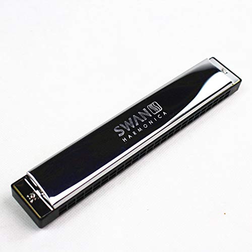 Harmonica Tremolo C clé 24 trous Tremolo Harmonica bouche orgue Instruments de musique à vent de haute qualité - Les Beatles, Paul McCartney, John Lennon, RIngo Starr, George Harrison Harmonica Tremolo C clé 24 trous Tremolo Harmonica bouche orgue Instruments de musique à vent de haute qualité – Image 3