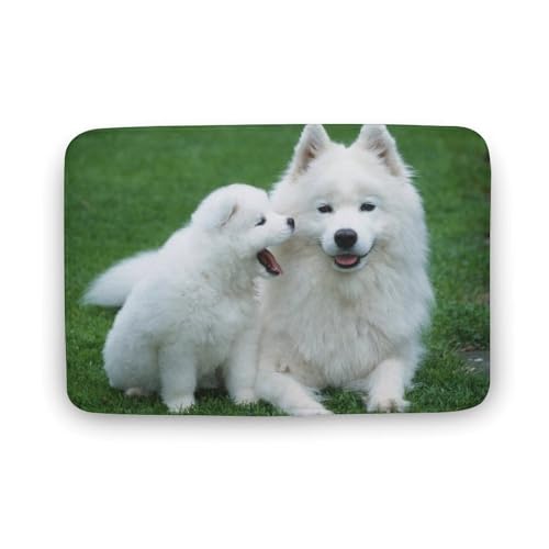 Č  L  oX}bg \tg􂦂 z  փ}bg  O   \ ~ Aj LN^[ @}bg   ʏ