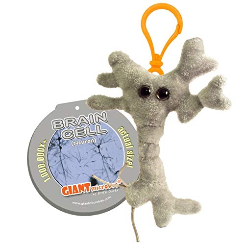 GIANTMICROBES Microbi Giganti Peluche PORTACHIAVI CELLULA CEREBRALE brain cell