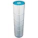 Pentair R173576 420 Square Feet Cartridge Replacement Clean and Clear Plus Pool and Spa Cartridge Filter