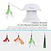 DADYPET Cat Laser Toy, 2 in 1 Automatic Non-Handheld Cat Chaser Toy and Interactive Feather Toy, Auto Rotating Light Cat Chaser Toy for Cats and Dogs
