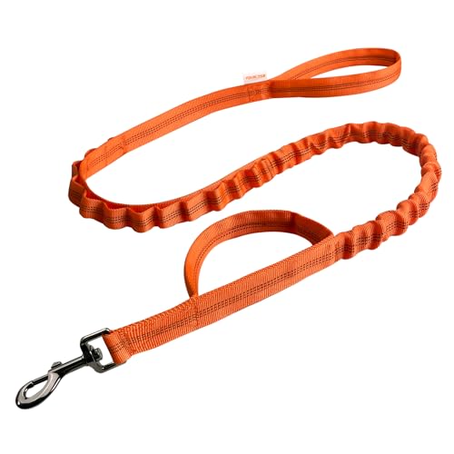 FOVRLZSE Reflective Bungee Dog Leash