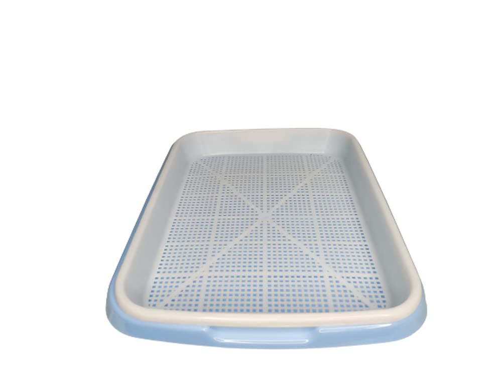 Harvest House Microgreens hydroponic Seed Sprouter Tray Seed Germination Tray BPA Free Nursery Tray for Seedling Planting Suit for Garden Home Office (Pack of 5) (B094NQQ6MZ) Amazon Price History, Amazon Price Tracker