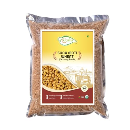 Image of Organic Sonamoti Wheat Grains Seeds (10Kgs) | For Farming, Sowing & Agriculture Use | Produce of India | 100% Natural & Non-GMO | By G7 Grains