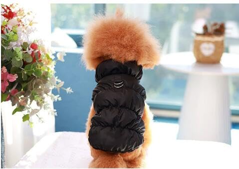  ̌^ȓ  xXg ȕR[g L ^ ^  U y EȒP H ~ h hWPbg g ybg