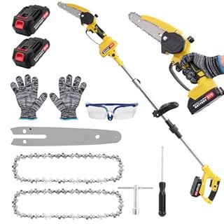 2 en 1 Tronconneuse Télescopique Elagueuse sur Perche sans Fil, Mini Tronconneuse à Batterie 4000mAh, Coupe Branche Electrique avec Système de Lubrification et Tête Pivotante à 90° pour Jardin