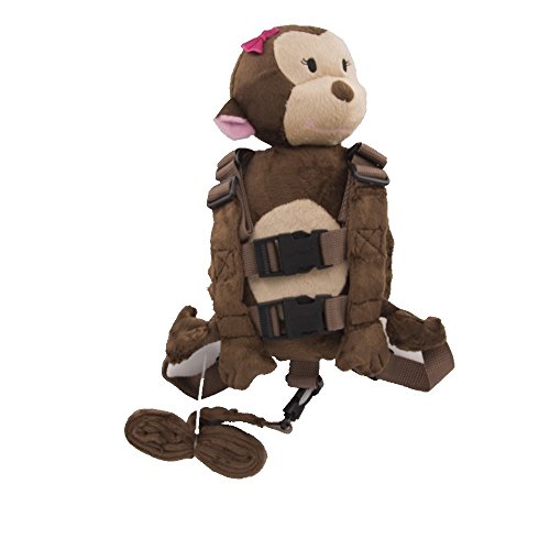 qh~ ʂ Aj}n[lX qR (sN)