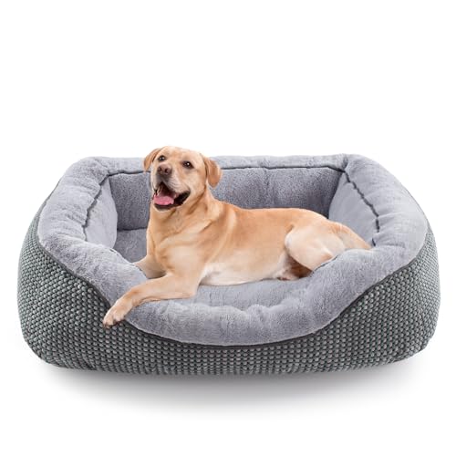 Image of INVENHO Large Dog Beds for Large Dogs Washable, Rectangle Dog Beds Large Sized Dog, Orthopedic Dog Bed, Warming Soft Sleeping Puppy Bed Durable Pet Bed with Anti-Slip Bottom L(35 inchx25 inchx10 inch)