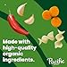 Pacific Foods Organic Spicy Chicken Noodle Soup, 16.1 oz Can