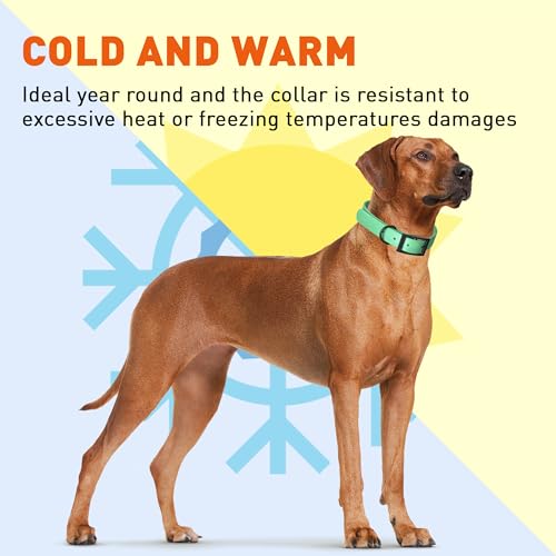 Image of Dogline Biothane Waterproof Dog Collar Strong Coated Nylon Webbing with Black Hardware Odor- Proof for Easy Care Easy to Clean High Performance Fits Small Medium or Large Dogs, Sea Foam Green